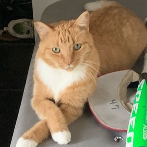 Meet your Posher, Sara